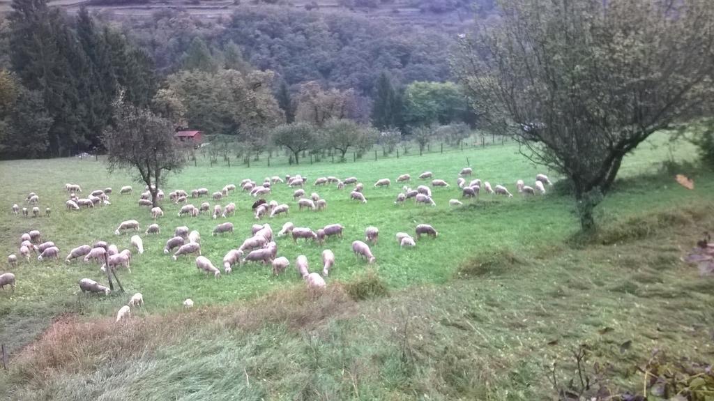 Antica Casa Ortensia Рива-дель-Гарда Номер фото